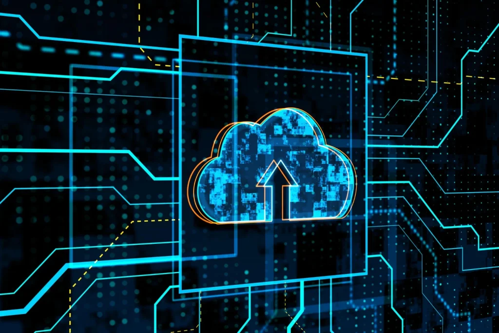ERP Hosting Choice Guide Public vs Private Cloud